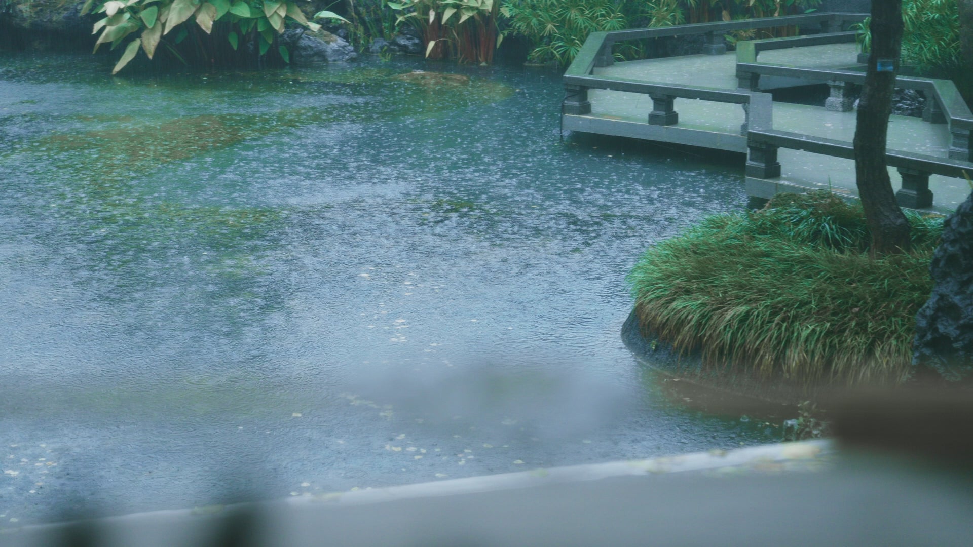 α06霁宵After-Rain Night